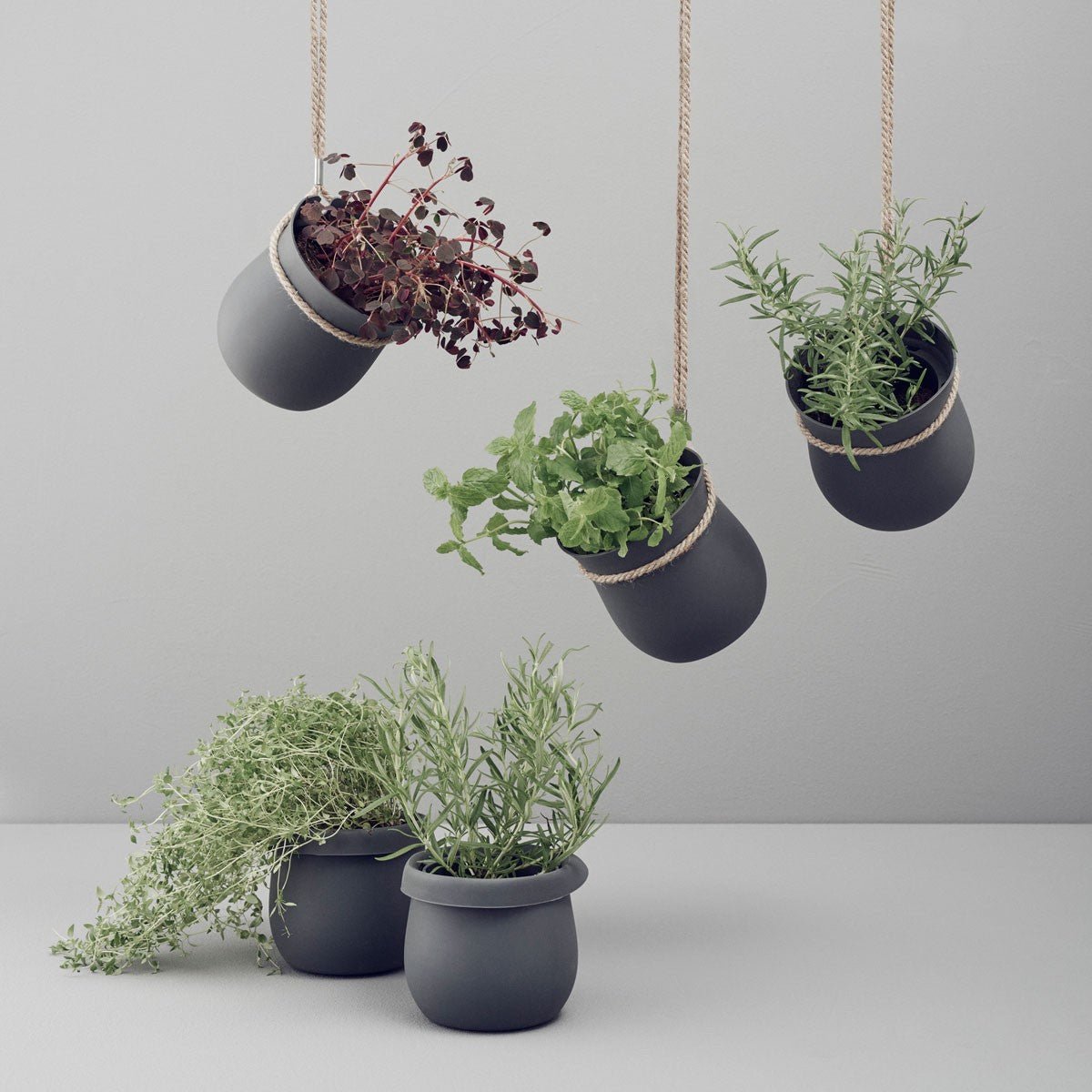 Stelton / Grow - It / Blumentopf - architare shop